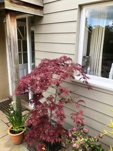 James Hardie cladding in Hertfordshire