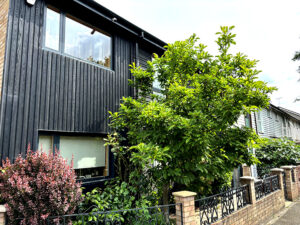 Cladding installation in Stratford, East London