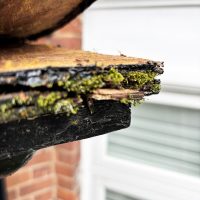 Rotting timber of original door canopy