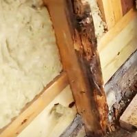 Rotting timbers behind old cladding
